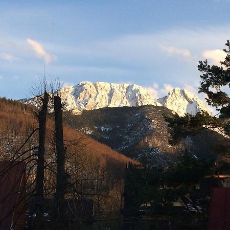 Dom Wypoczynkowy Jadzia Zakopane Extérieur photo