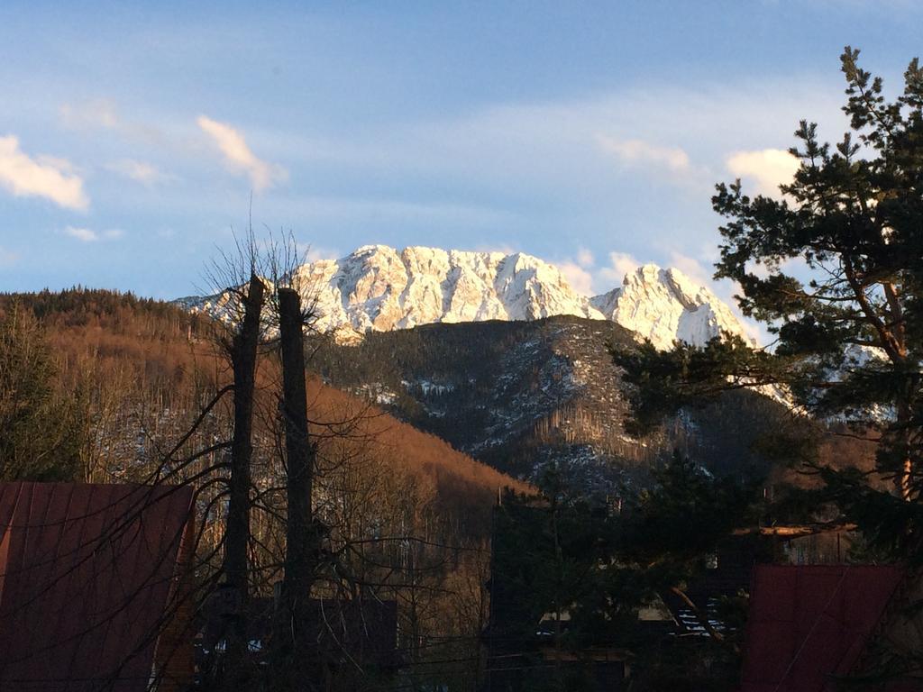 Dom Wypoczynkowy Jadzia Zakopane Extérieur photo
