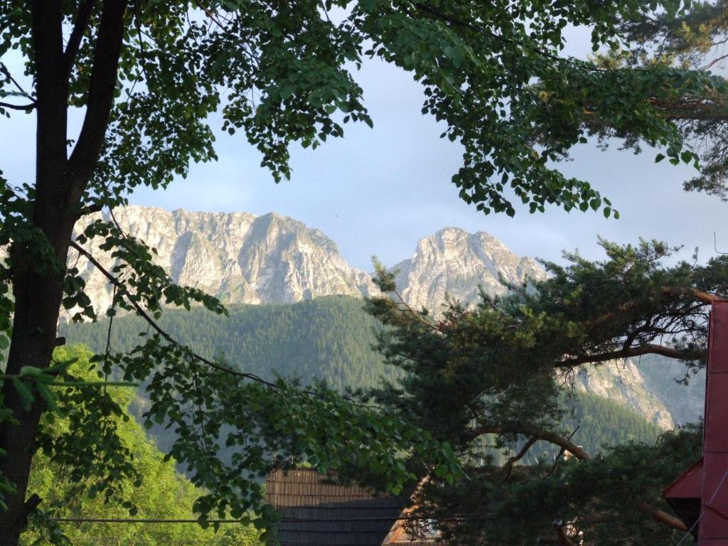 Dom Wypoczynkowy Jadzia Zakopane Extérieur photo