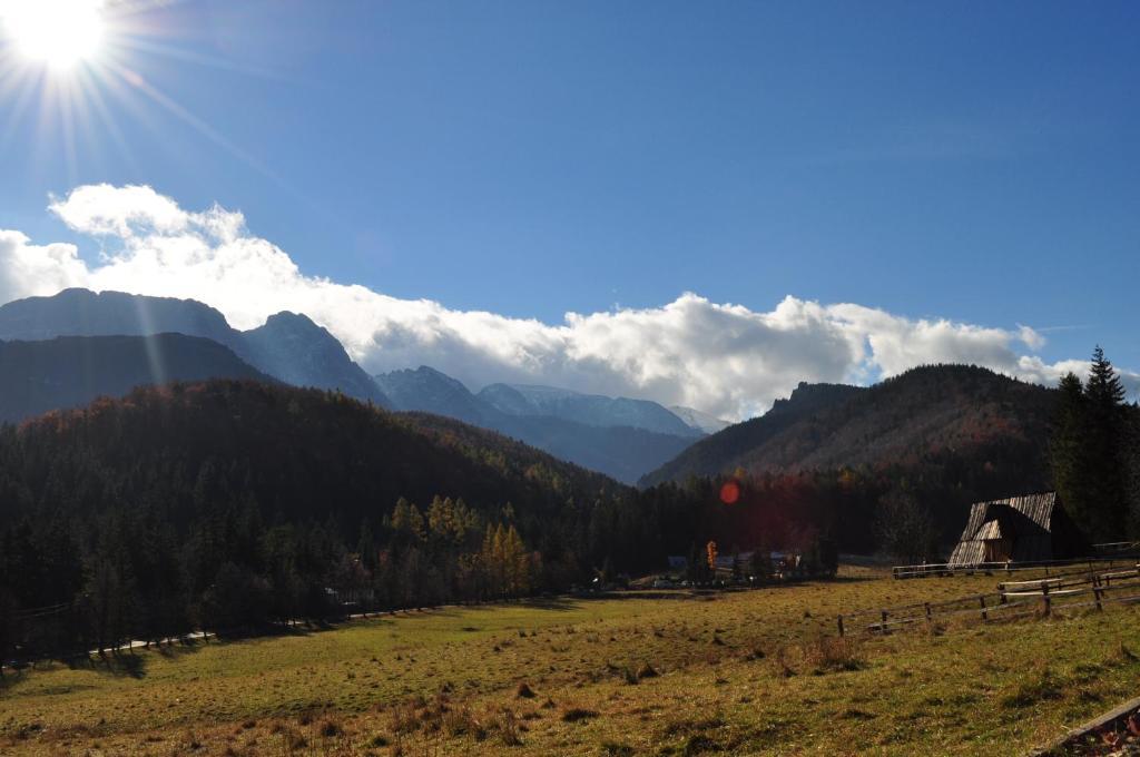 Dom Wypoczynkowy Jadzia Zakopane Extérieur photo