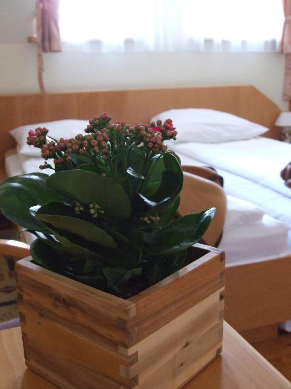 Dom Wypoczynkowy Jadzia Zakopane Chambre photo